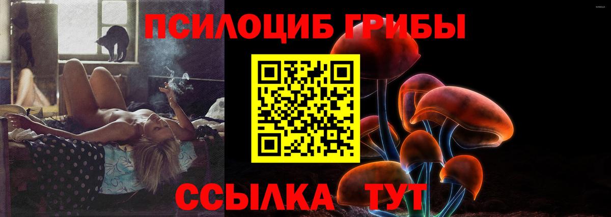 где найти наркотики  Галлюциногенные грибы Psilocybe  Омск  Вход с VPN  Псилоцибиновые грибы Cubensis 
