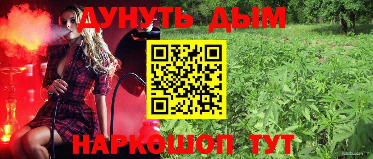 Каннабис OG Kush Омск